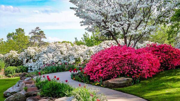 Peter Dowdall: Make the most of your garden's technicolour glory